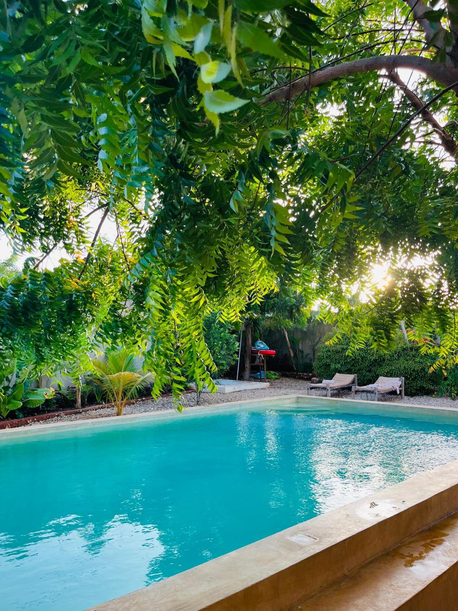 Bed & Breakfast Binta Boutique Swahili Retreat